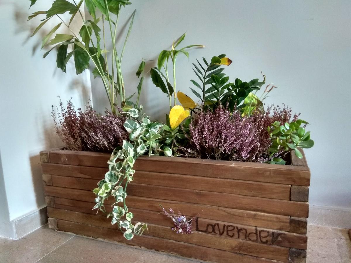 דירות קלמאטה Lavender מראה חיצוני תמונה
